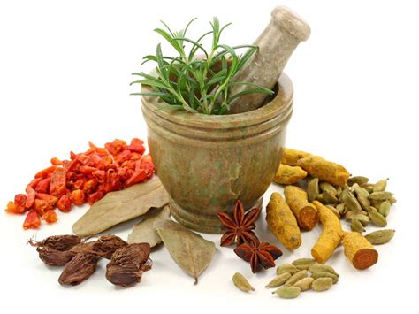 Traditional Healing: A Holistic Approach to Wellness